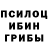 Галлюциногенные грибы Cubensis Kathryn Bernardo