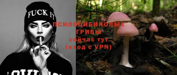 мяу мяу мука Ельня