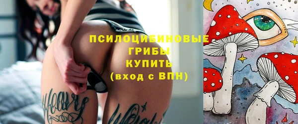 гашик Дмитриев