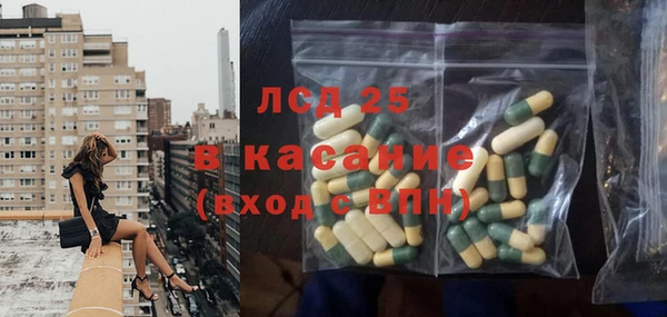 гашик Дмитриев