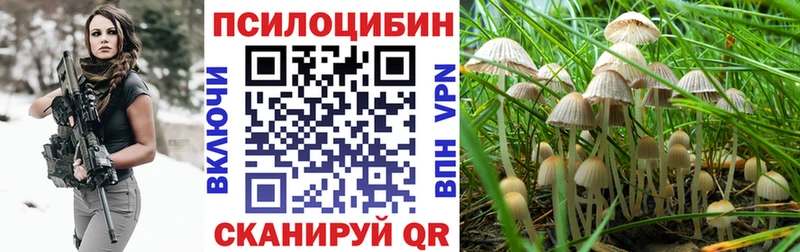 Псилоцибиновые грибы GOLDEN TEACHER Купить где Вуктыл